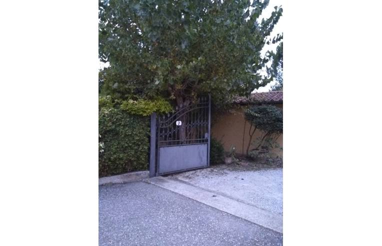 immagine annuncio 5 di 7