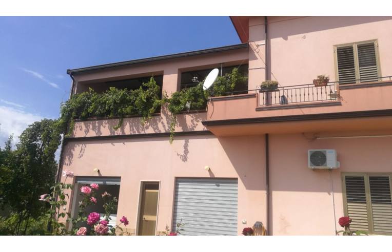 immagine annuncio 6 di 7
