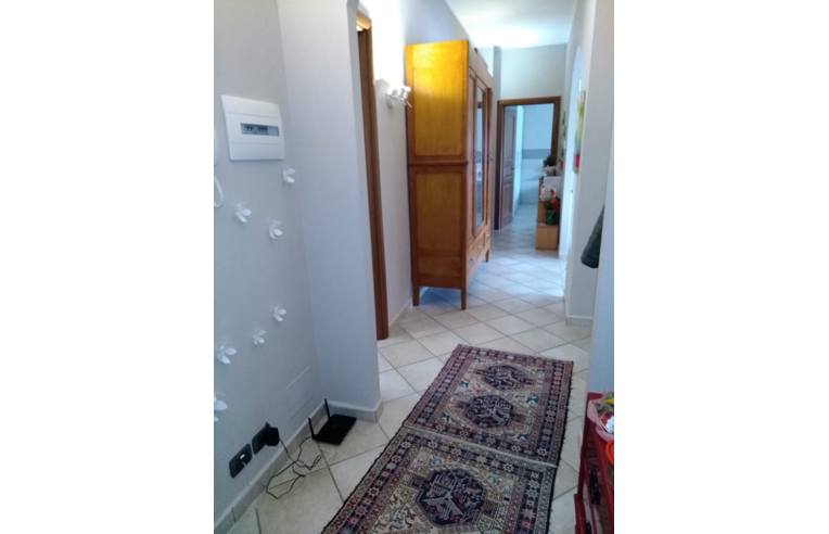 immagine annuncio 5 di 7