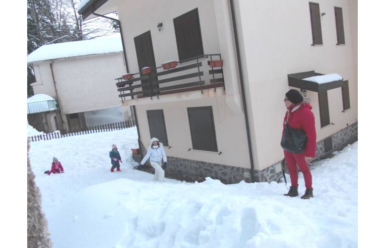 immagine annuncio 2 di 6