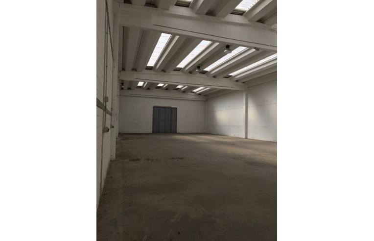 immagine annuncio 1 di 2