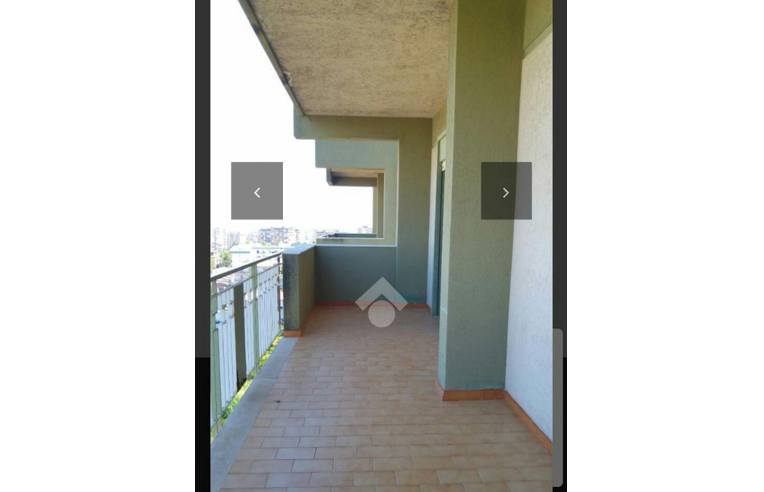 immagine annuncio 5 di 7