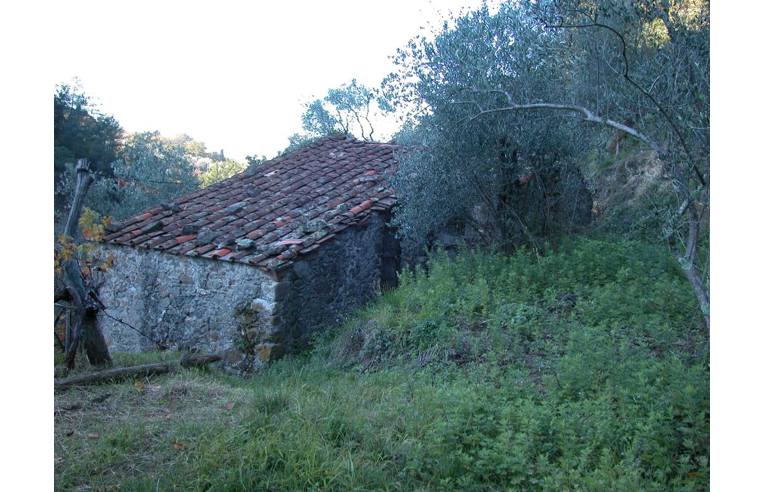 immagine annuncio 3 di 6