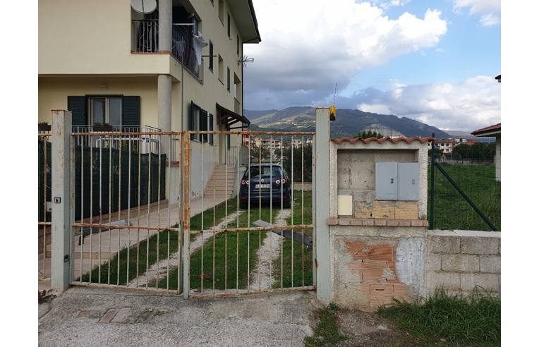 immagine annuncio 6 di 7