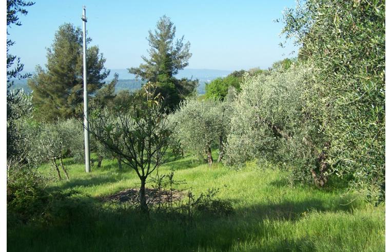 immagine annuncio 5 di 7