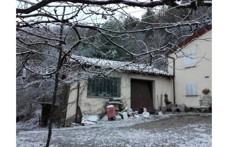 immagine annuncio 5 di 7