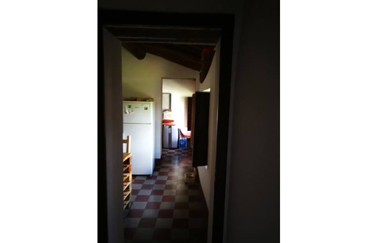 Foto 4 - Appartamento in Vendita da Privato - Buti (Pisa)