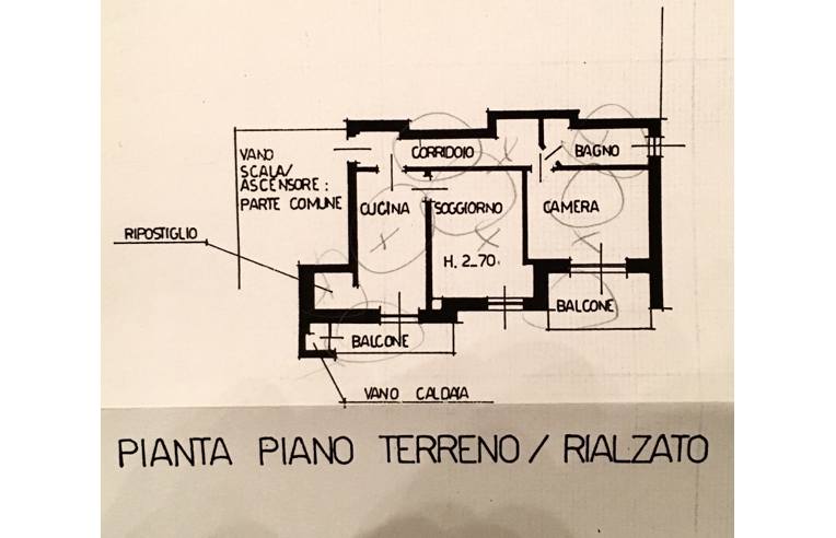 immagine annuncio 6 di 7