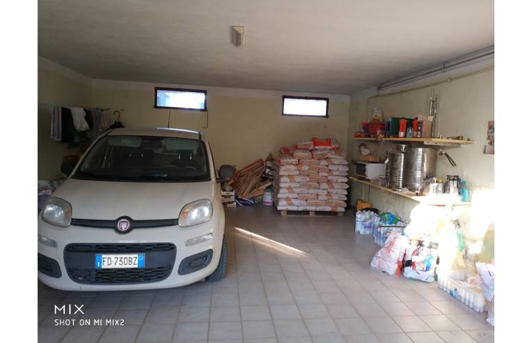 immagine annuncio 5 di 7