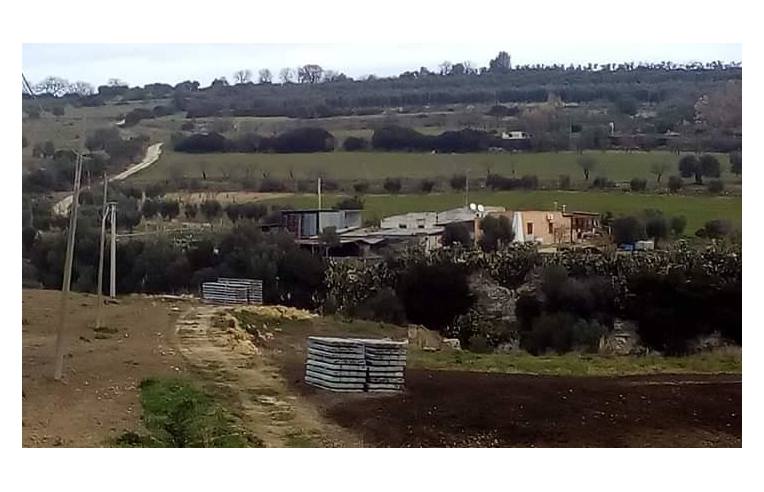 Foto 7 - Rustico/Casale in Vendita da Privato - Castellaneta (Taranto)
