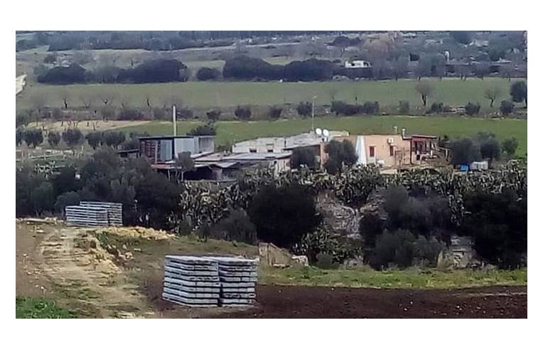 Foto 8 - Rustico/Casale in Vendita da Privato - Castellaneta (Taranto)