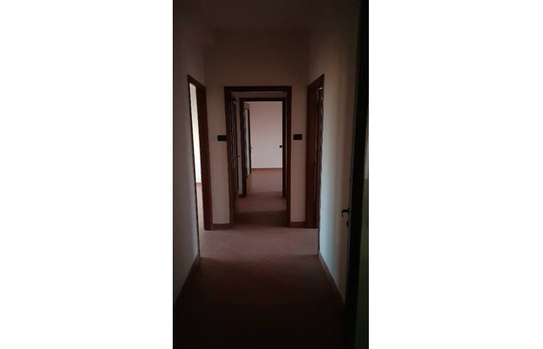 Foto 2 - Appartamento in Vendita da Privato - Piubega (Mantova)