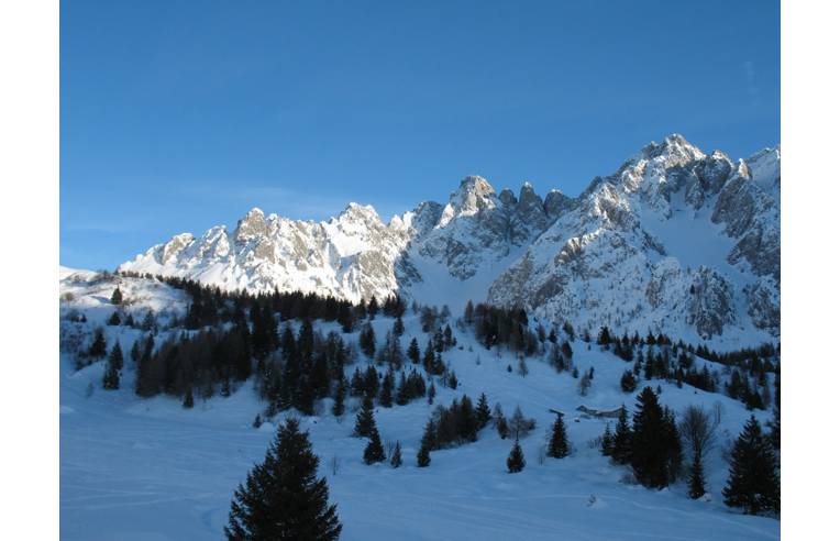 immagine annuncio 3 di 7