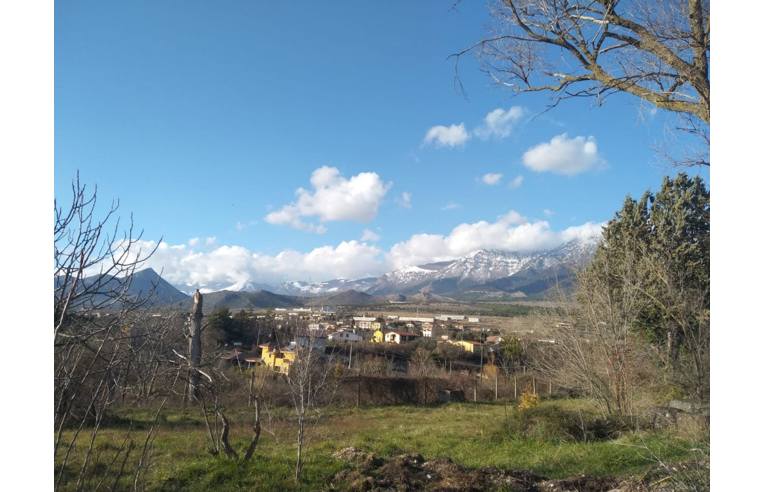 immagine annuncio 4 di 6