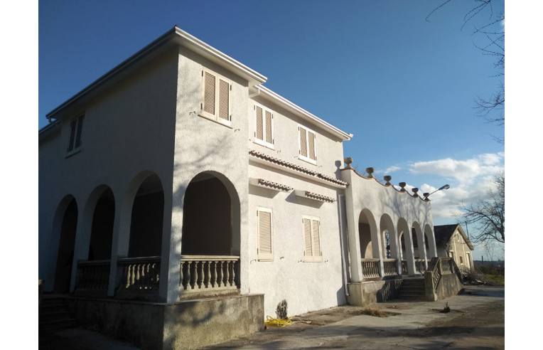 immagine annuncio 1 di 6