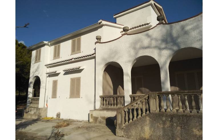 immagine annuncio 2 di 6