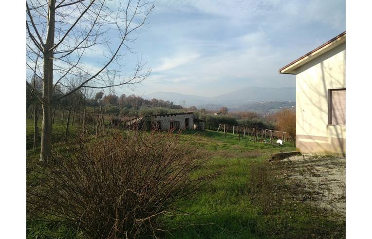 immagine annuncio 2 di 7