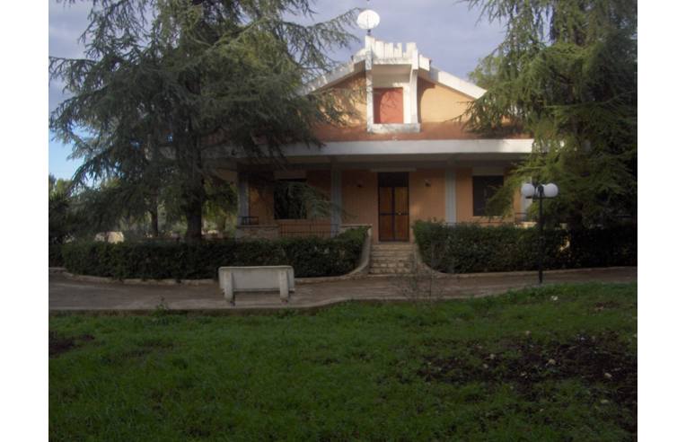 immagine annuncio 3 di 4