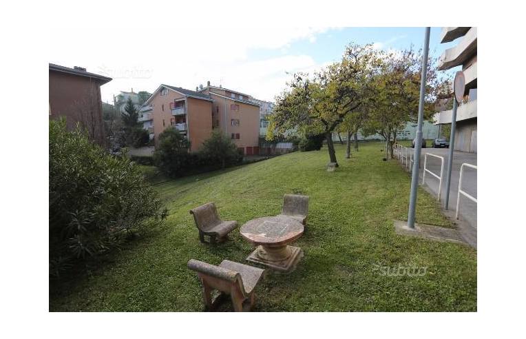 immagine annuncio 5 di 7