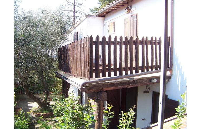 immagine annuncio 3 di 7