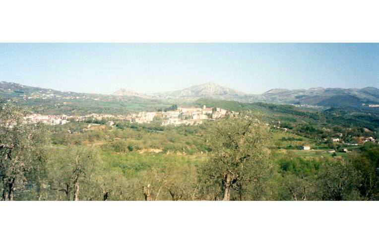 immagine annuncio 2 di 7