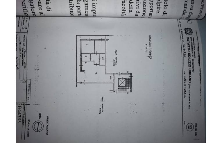 immagine annuncio 5 di 7
