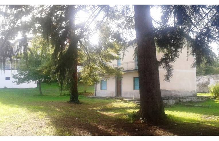 immagine annuncio 2 di 6