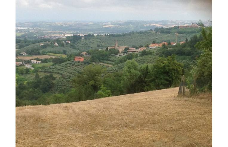 immagine annuncio 6 di 7
