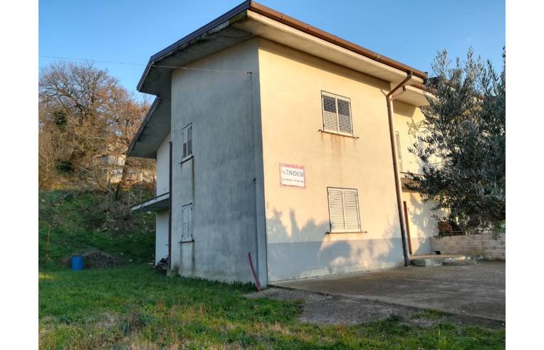 immagine annuncio 4 di 6