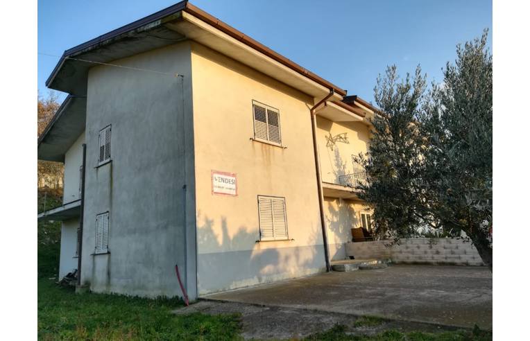 immagine annuncio 5 di 6