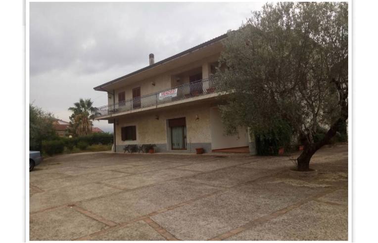 immagine annuncio 5 di 6