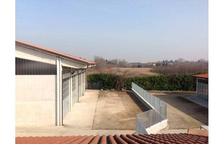 immagine annuncio 1 di 4