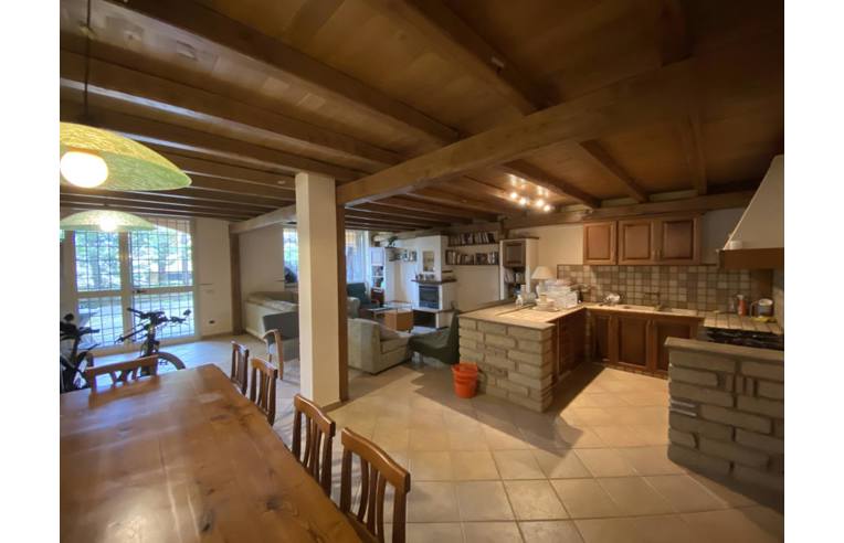 immagine annuncio 2 di 6