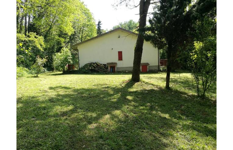 immagine annuncio 2 di 7