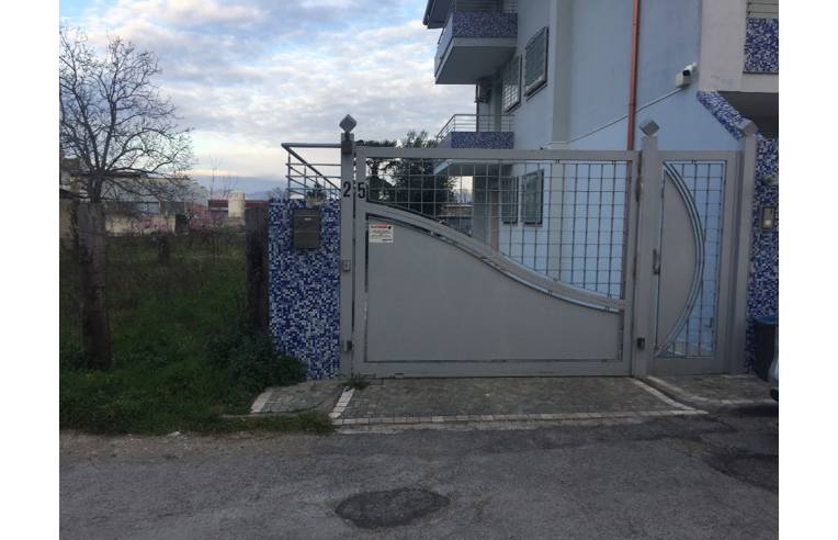 immagine annuncio 2 di 7