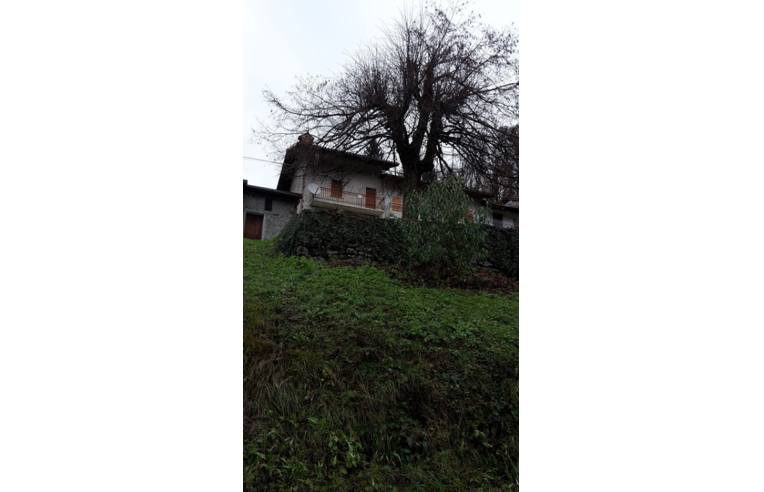 immagine annuncio 4 di 6