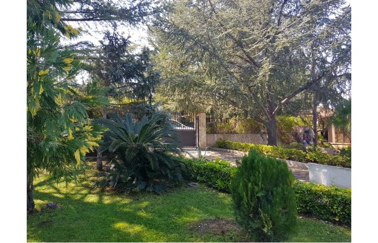 Foto 5 - Villa in Vendita da Privato - Monopoli (Bari)