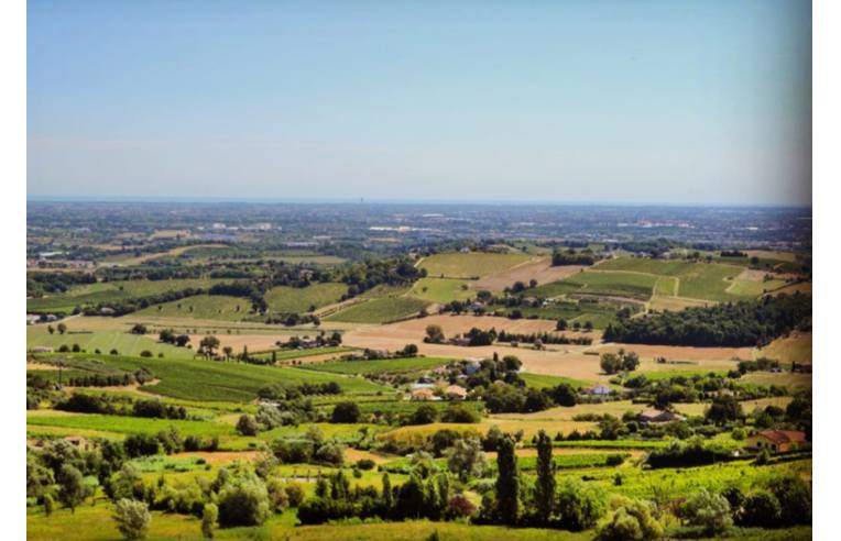 immagine annuncio 4 di 7