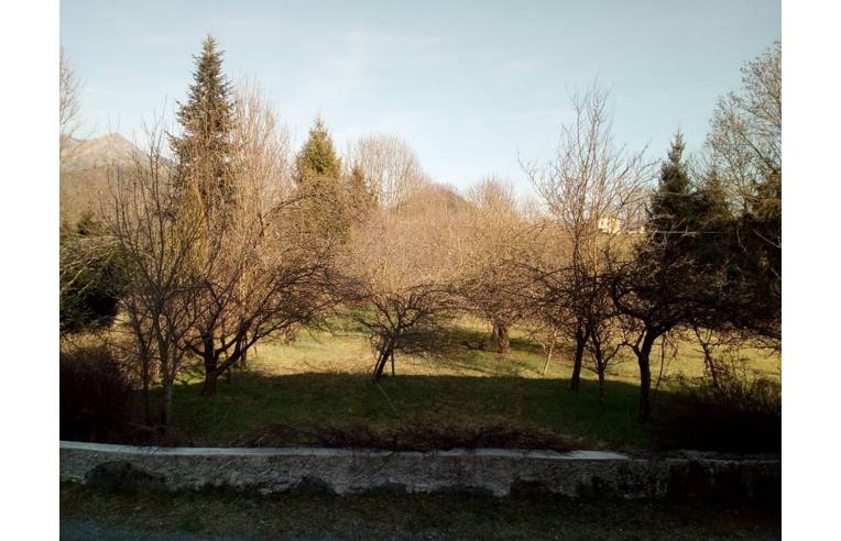 immagine annuncio 6 di 7
