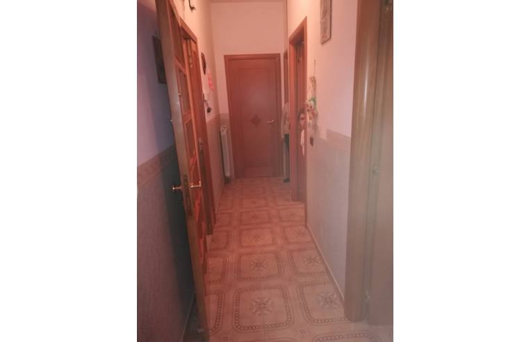Foto 4 - Appartamento in Vendita da Privato - Palagiano (Taranto)