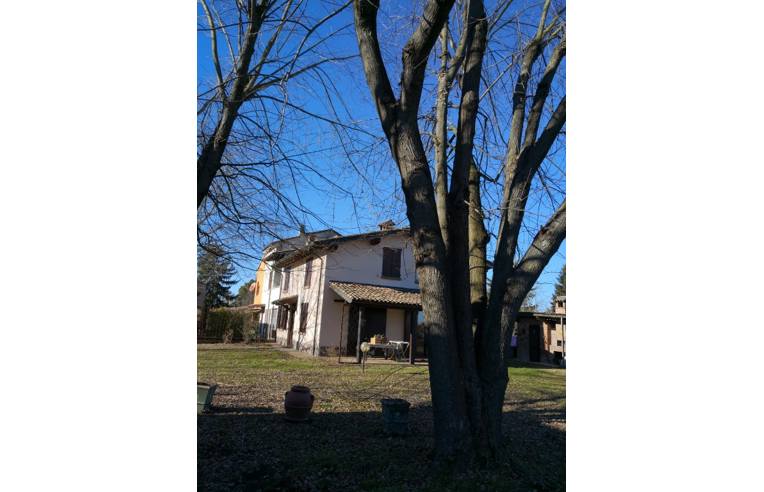 immagine annuncio 2 di 3