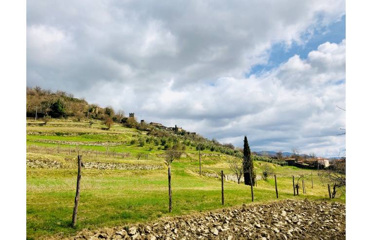 immagine annuncio 6 di 7
