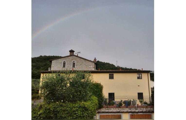 immagine annuncio 5 di 6