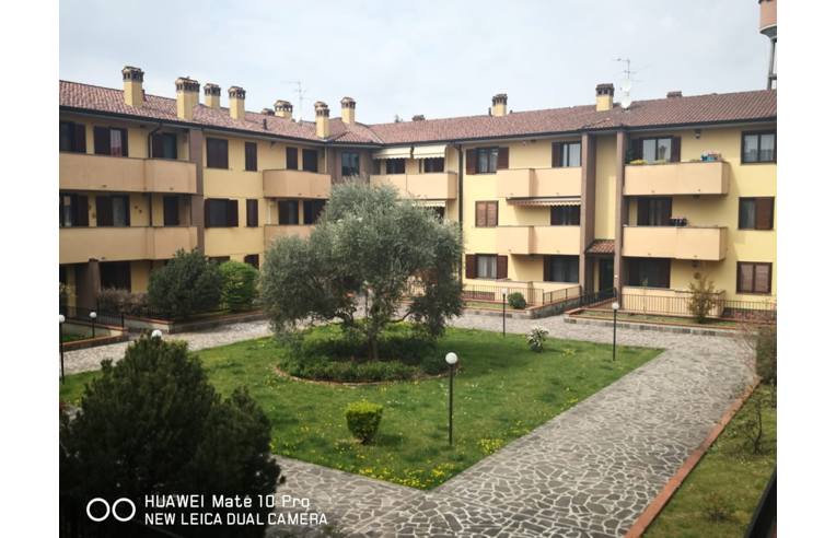 immagine annuncio 6 di 7