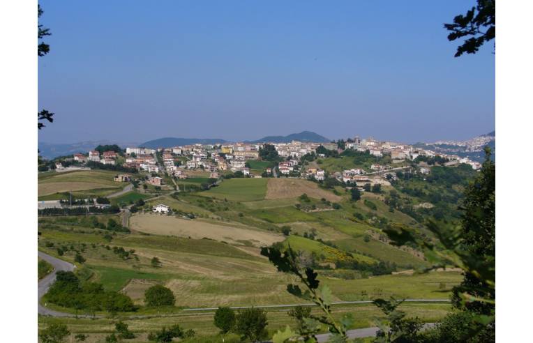Foto 6 - Altro in Vendita da Privato - Celenza sul Trigno (Chieti)