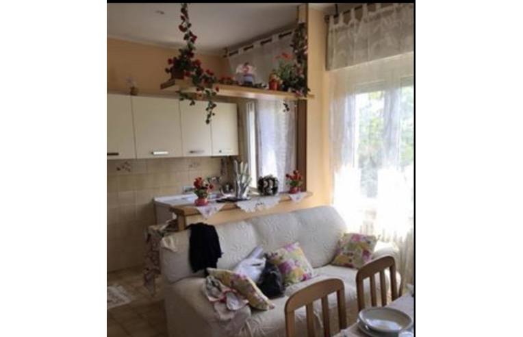 immagine annuncio 1 di 7
