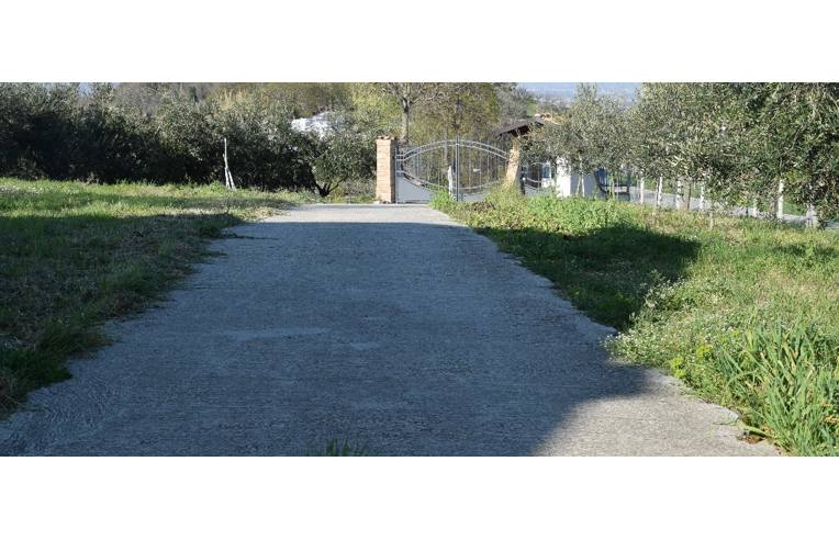 immagine annuncio 1 di 6