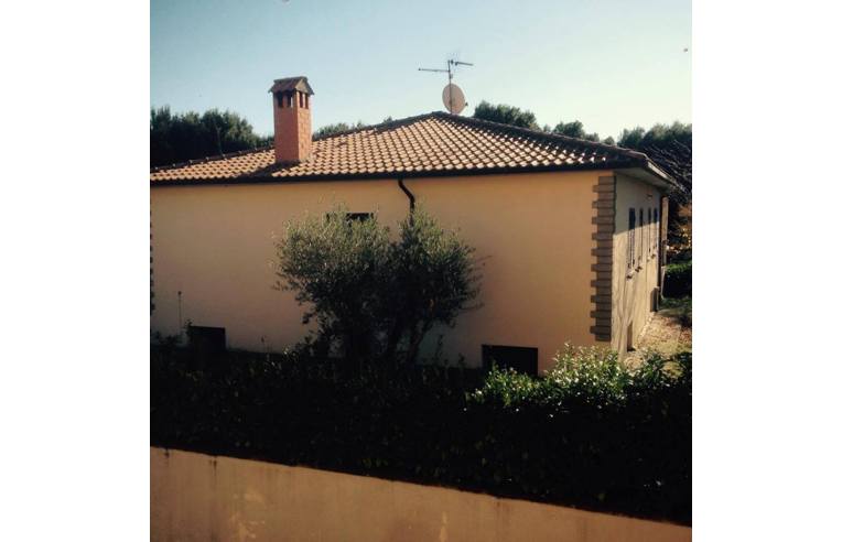 immagine annuncio 4 di 7