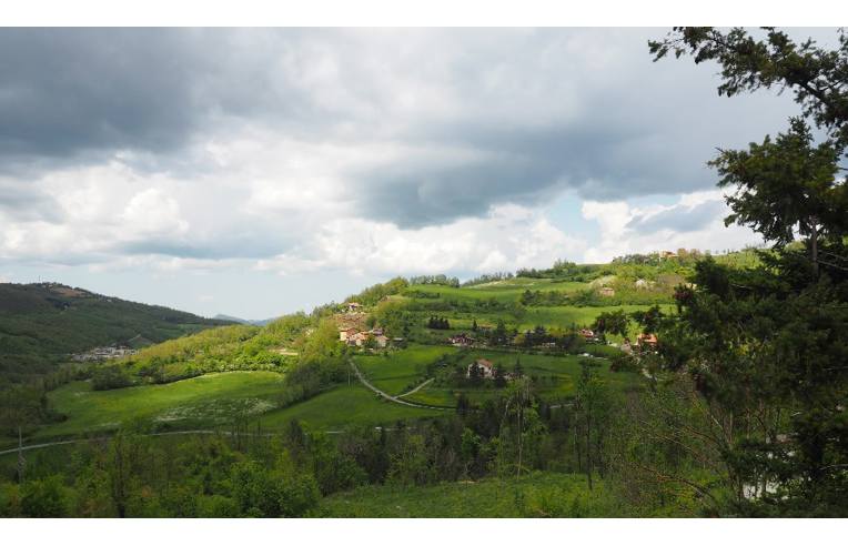immagine annuncio 5 di 6