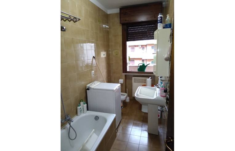 immagine annuncio 4 di 6